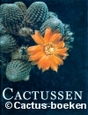 Cerutti, V. & Starosta, P. -  Cactussen 